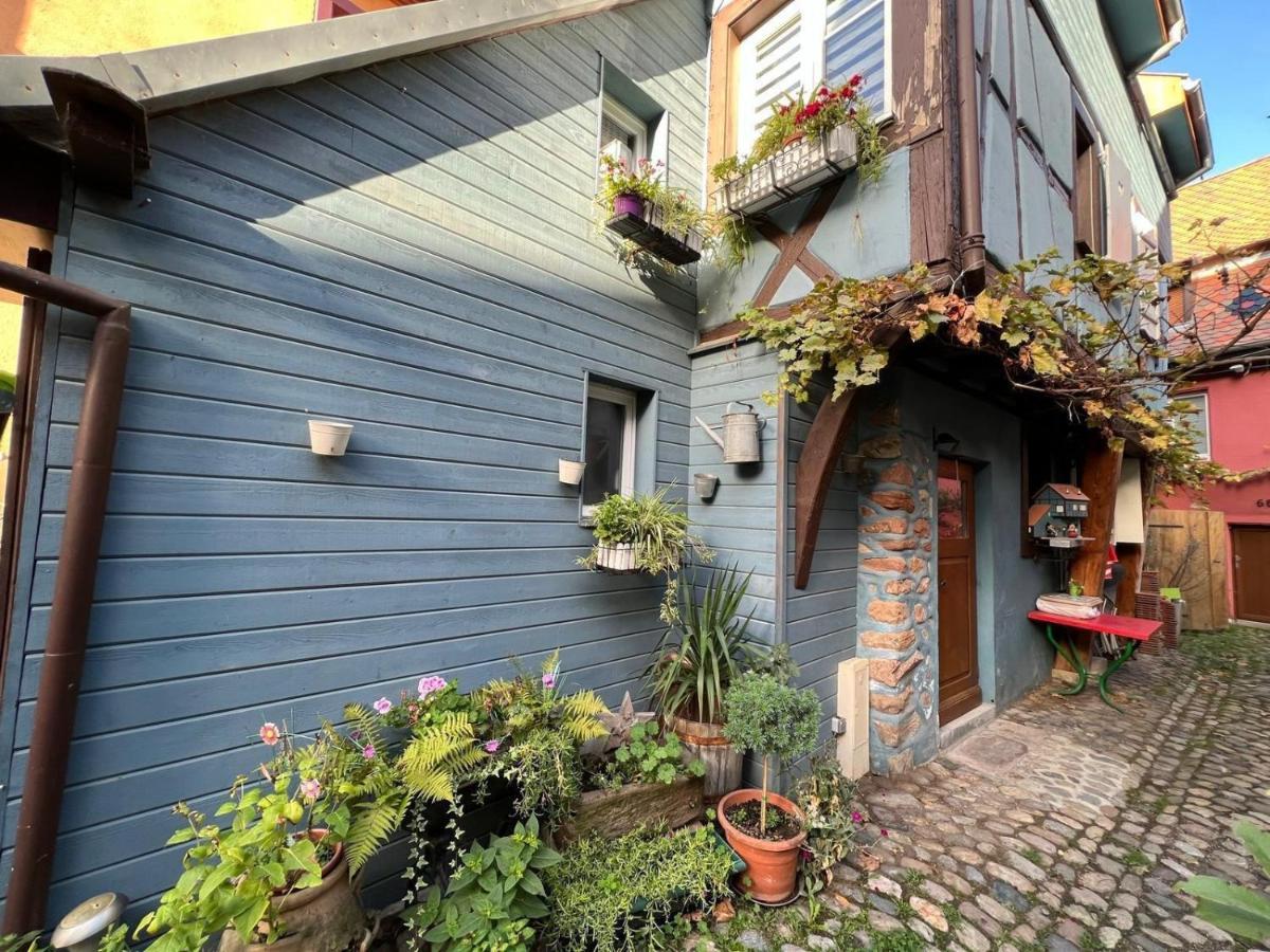 Gite Le 70 A Turckheim, 10 Min Colmar エクステリア 写真